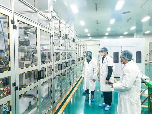冠军速度 市监部门莅临卫生巾生产工厂考察,称赞太壮观